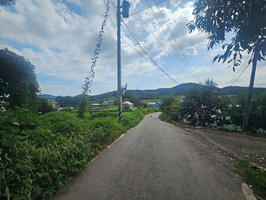 20260909_103952.jpg