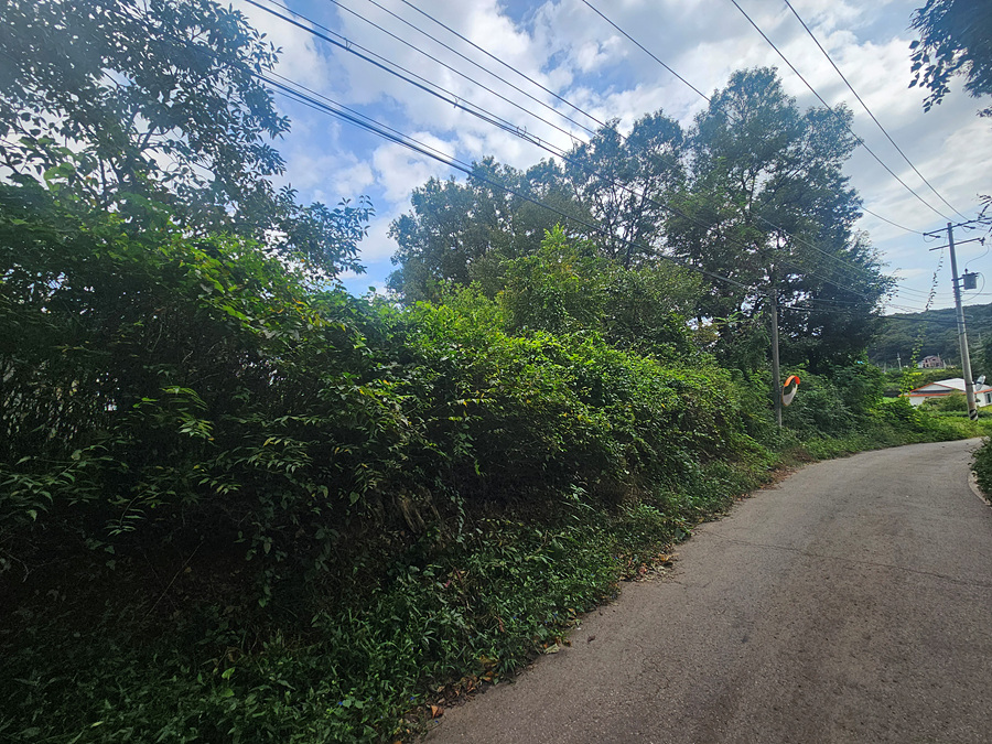 20260909_103923.jpg