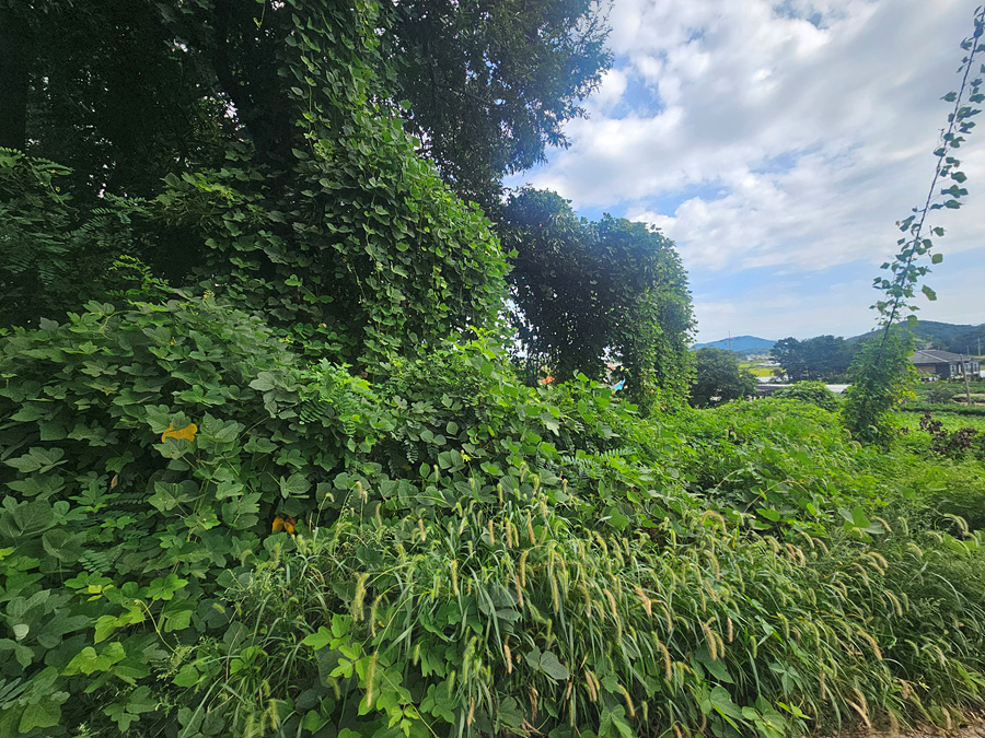 20260909_103954.jpg