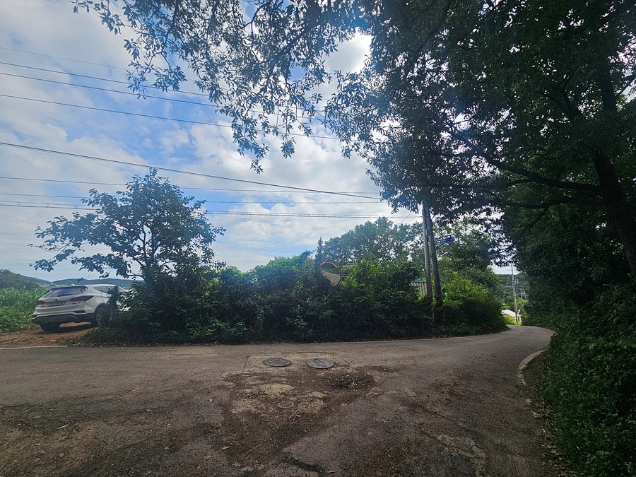 20260909_103853.jpg