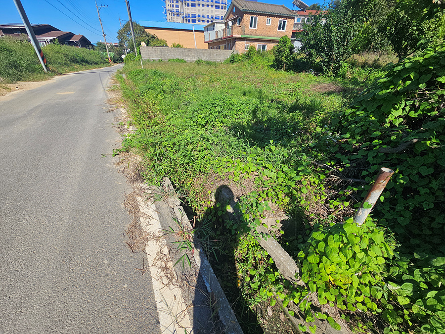 20260914_150723.jpg