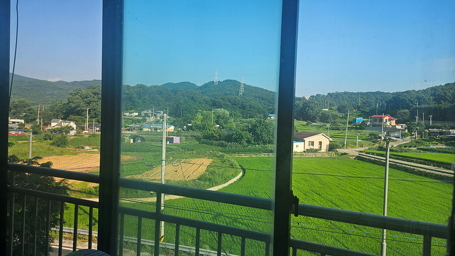 20250729_172518.jpg