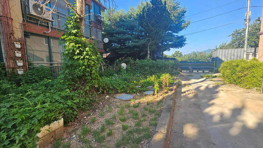 20250729_173916.jpg