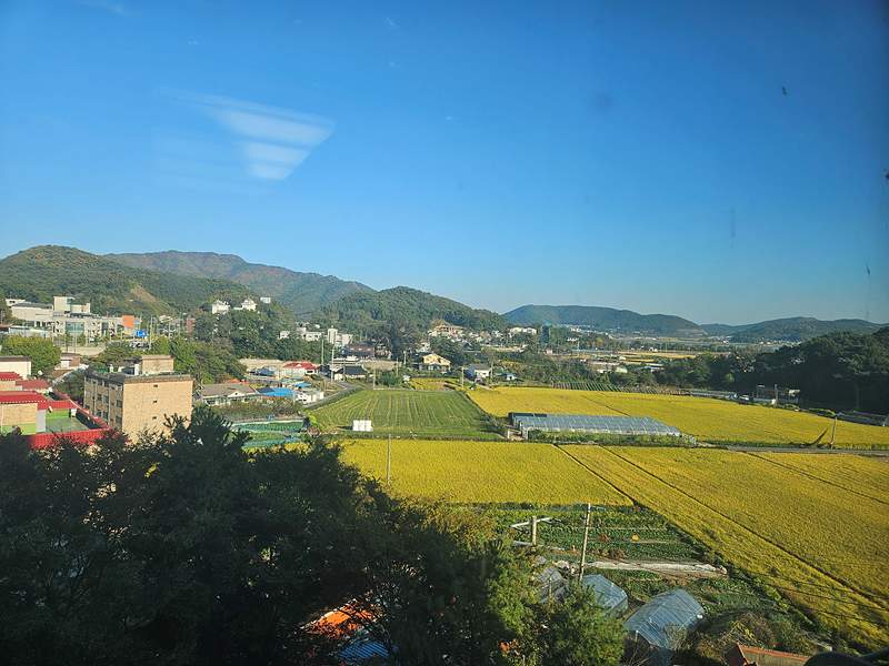 KakaoTalk_20261010_161932692_03.jpg